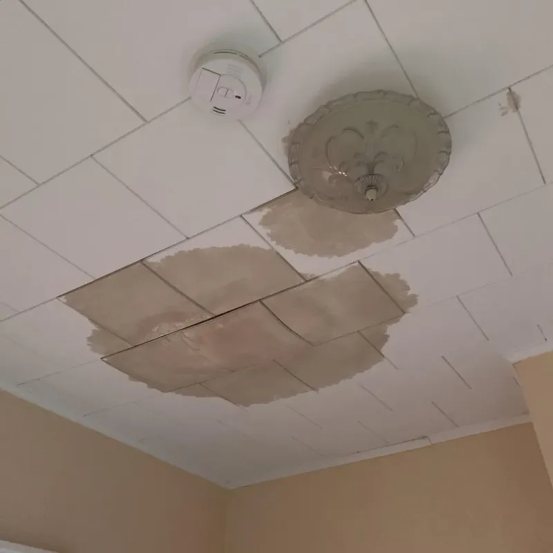Ceiling Water Damage Repair in Beverly Hills, TX