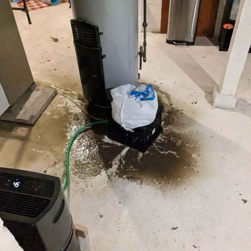 Sewage Backup Cleanup Service in Beverly Hills, TX